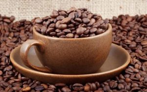 دایناسور در فال قهوه