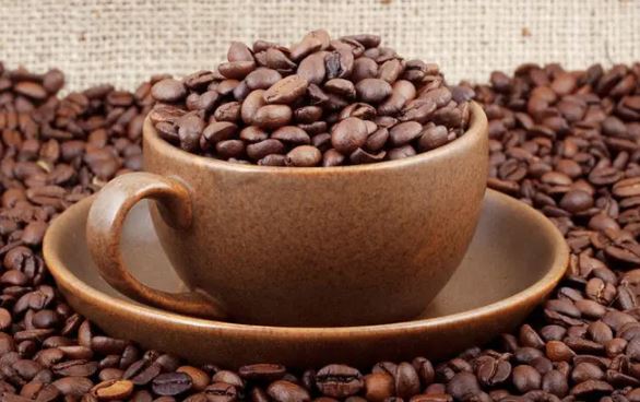 دایناسور در فال قهوه