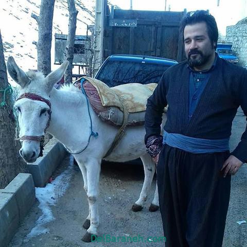 سریال ن . خ (۵)