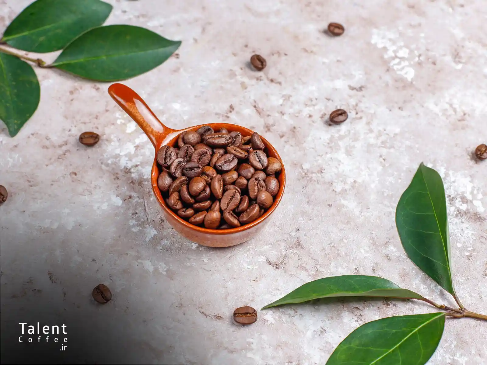 طعم یاد قهوه چیست