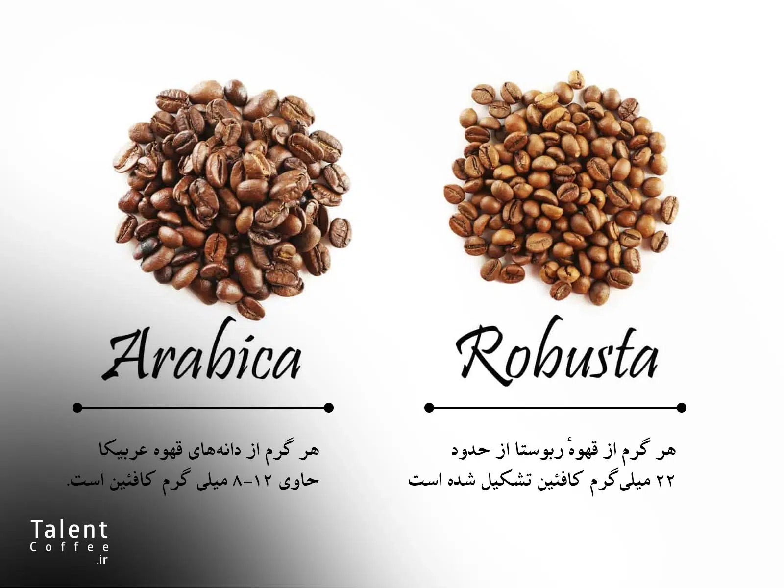 میزان کافئین قهوه روبوستا و عربیکا