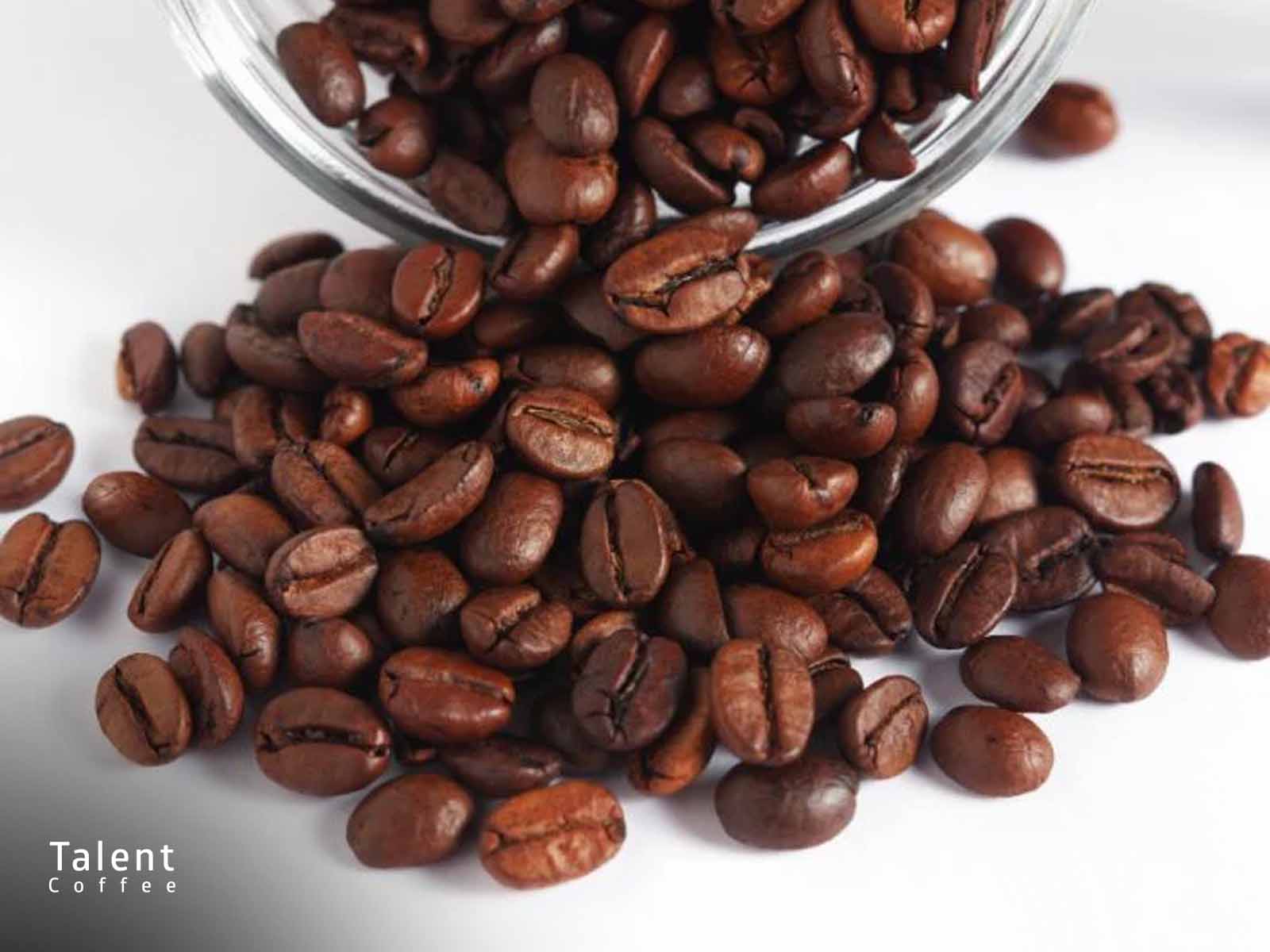 آیا قهوه خراب می‌شود؟