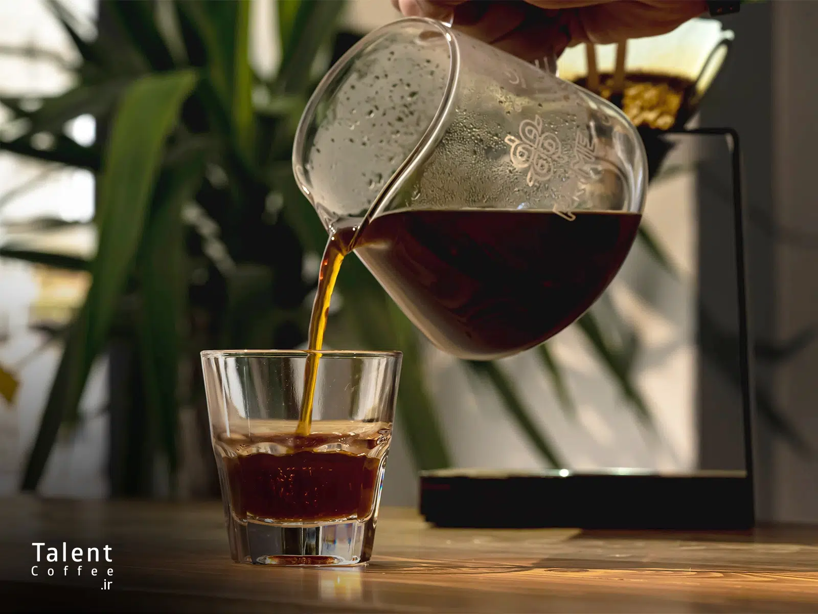 چرخه طعمی قهوه و دمآوری قهوه