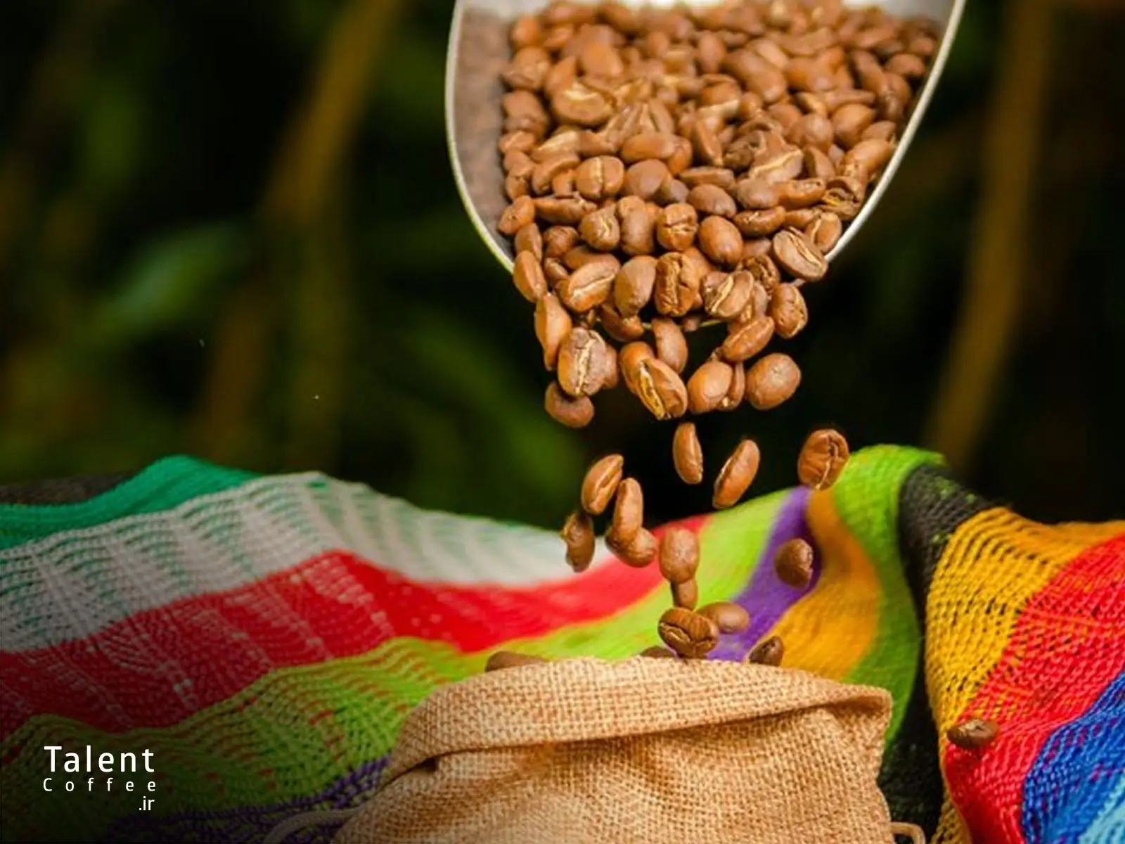تفاوت قهوه کلمبیا با برزیل و اتیوپی