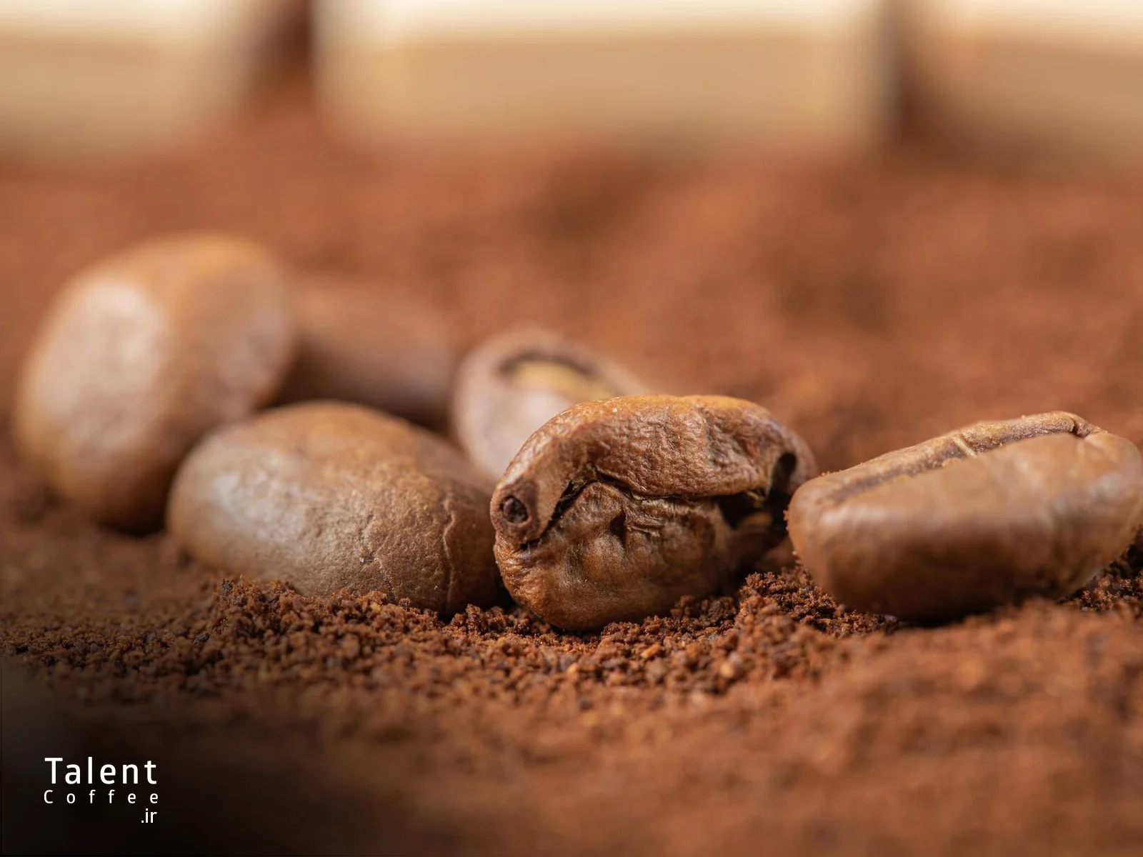 نقش کافه‌های تخصصی در پایداری قهوه