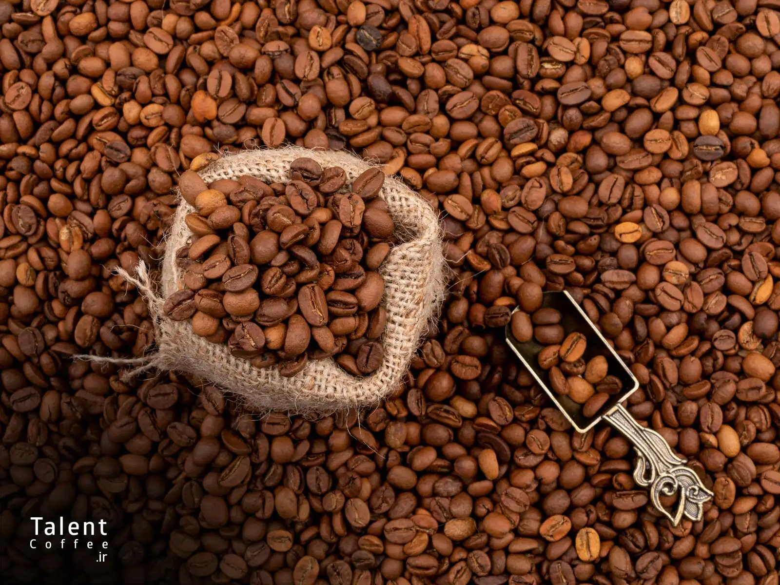 مفهوم پایداری در دنیای قهوه تخصصی