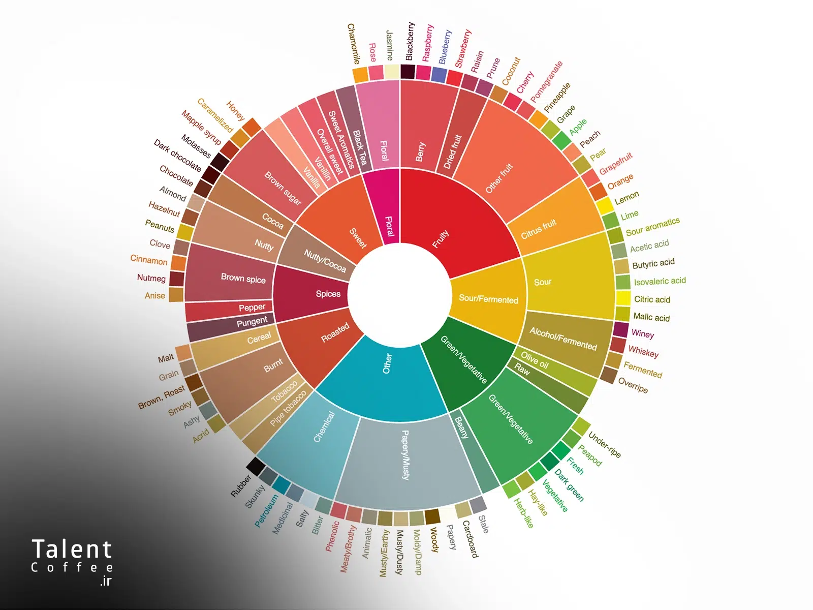 عکس چرخه طعمی قهوه