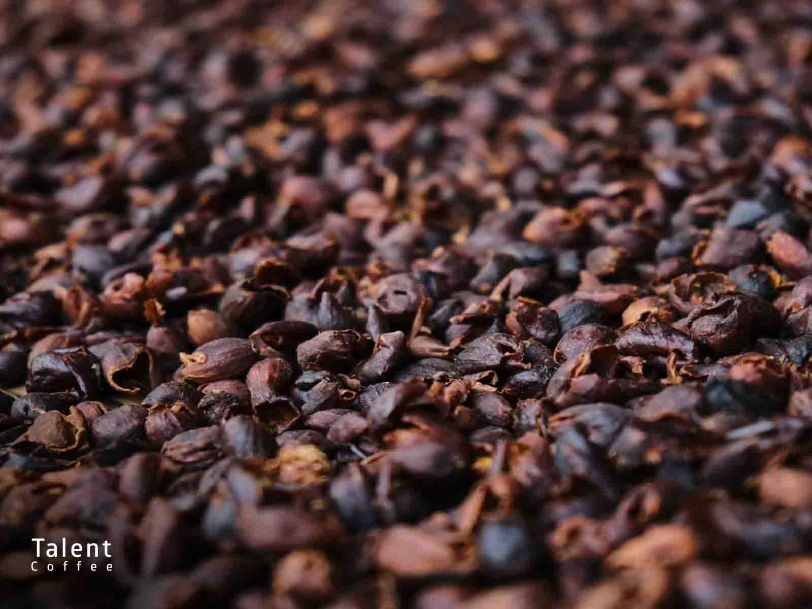 کاسکارا چیست