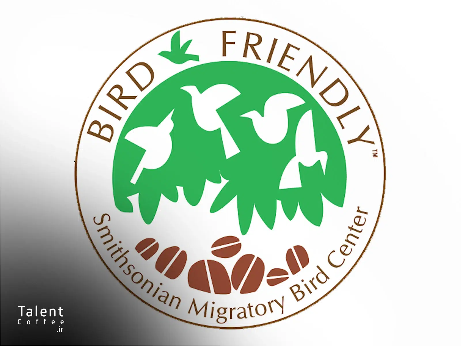 گواهینامه دوستدار پرندگان