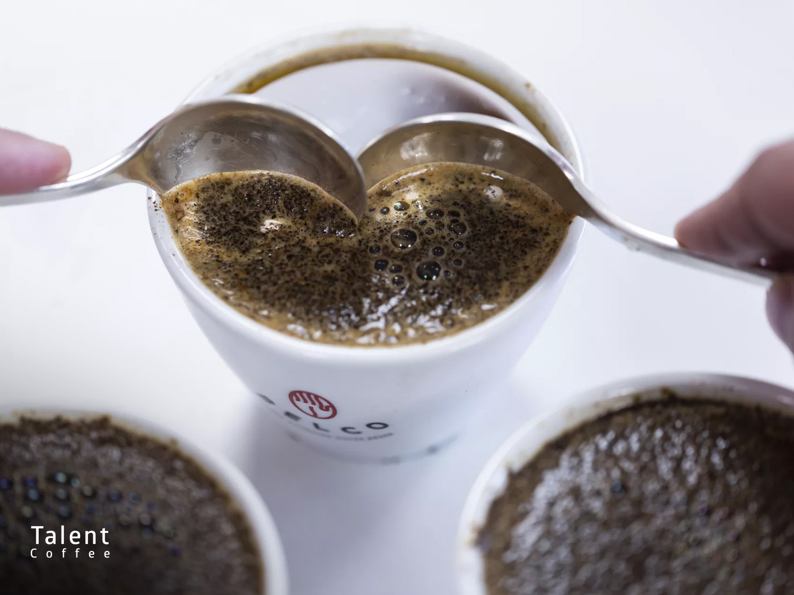 نکات چشایی قهوه