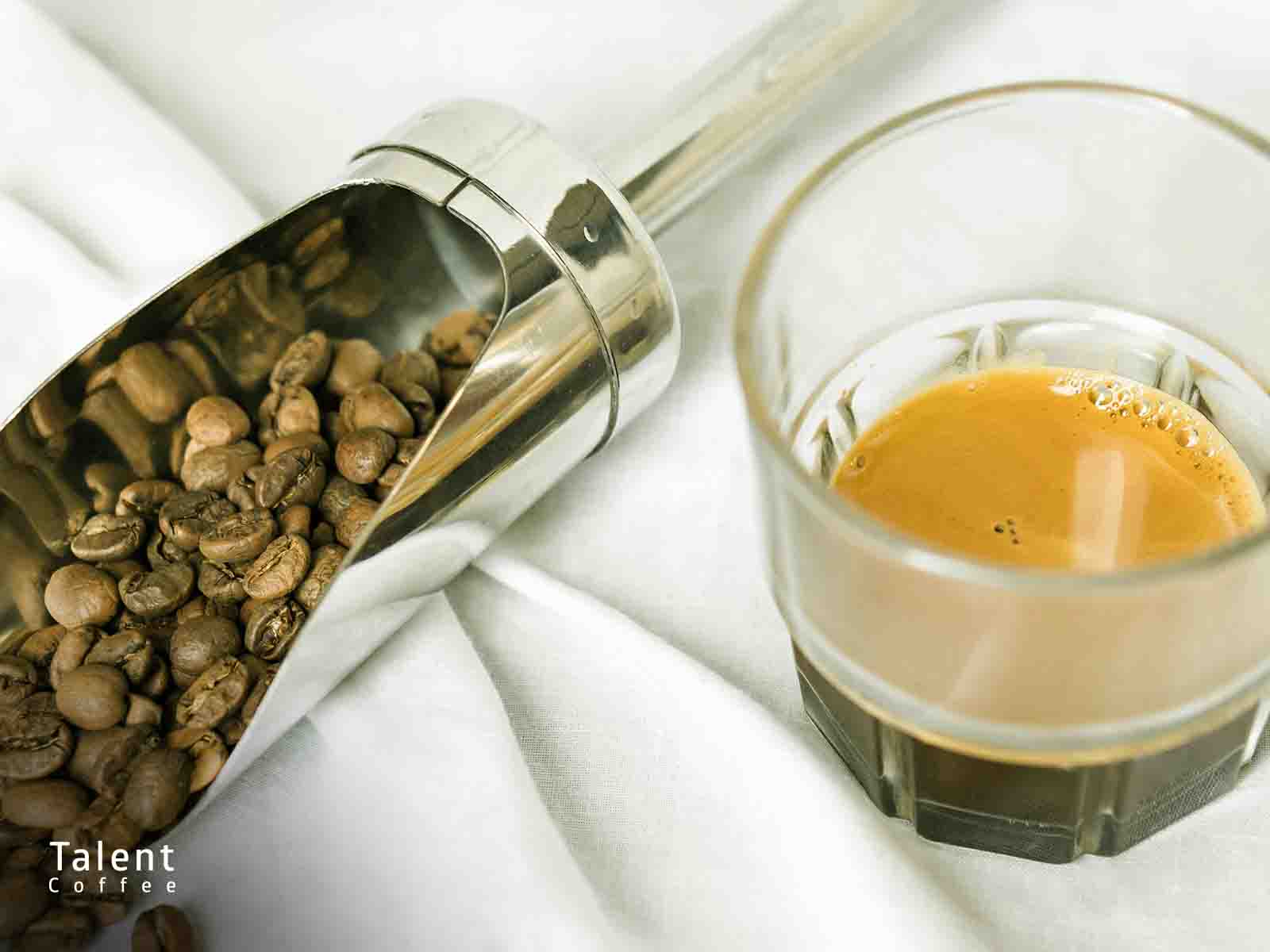 توصیف نتهای طعم قهوه