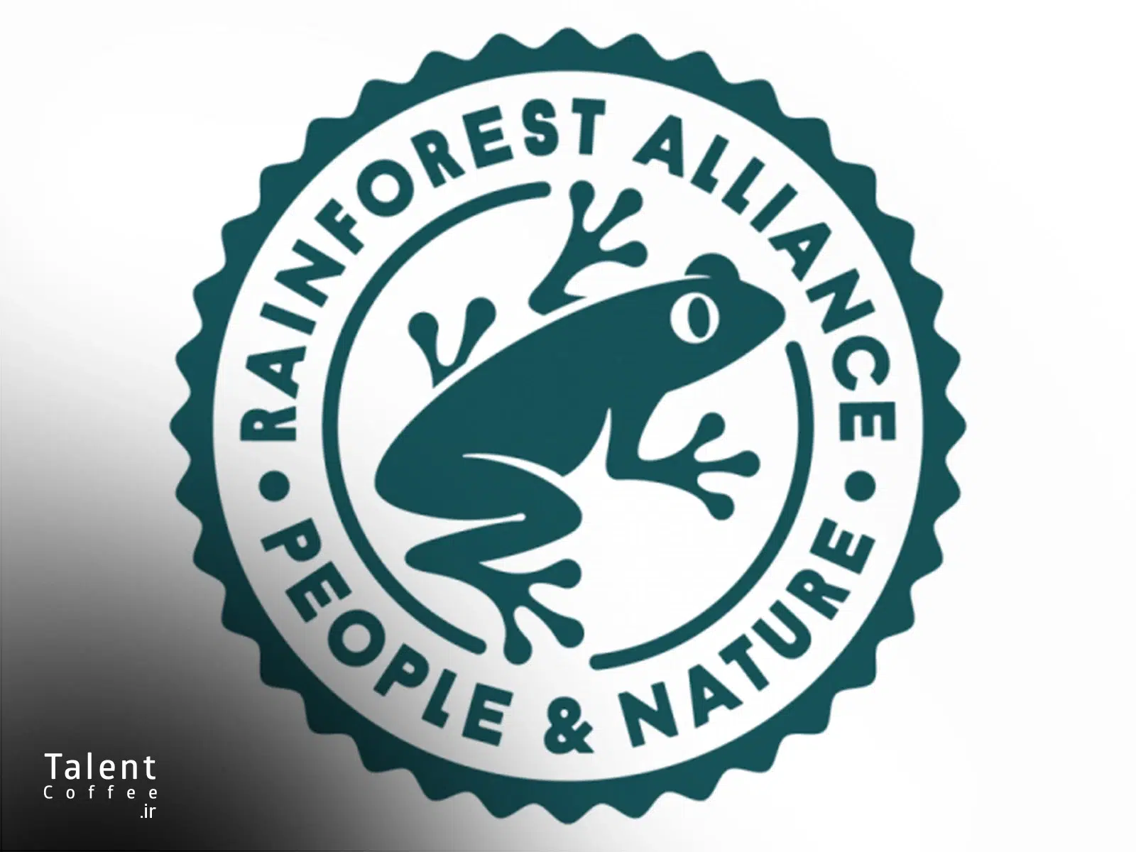 اتحادیهٔ جنگلهای بارانی