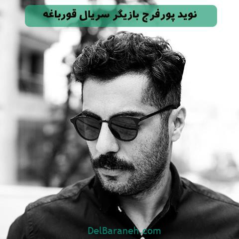 نوید پورفرج بازیگر سریال قورباغه