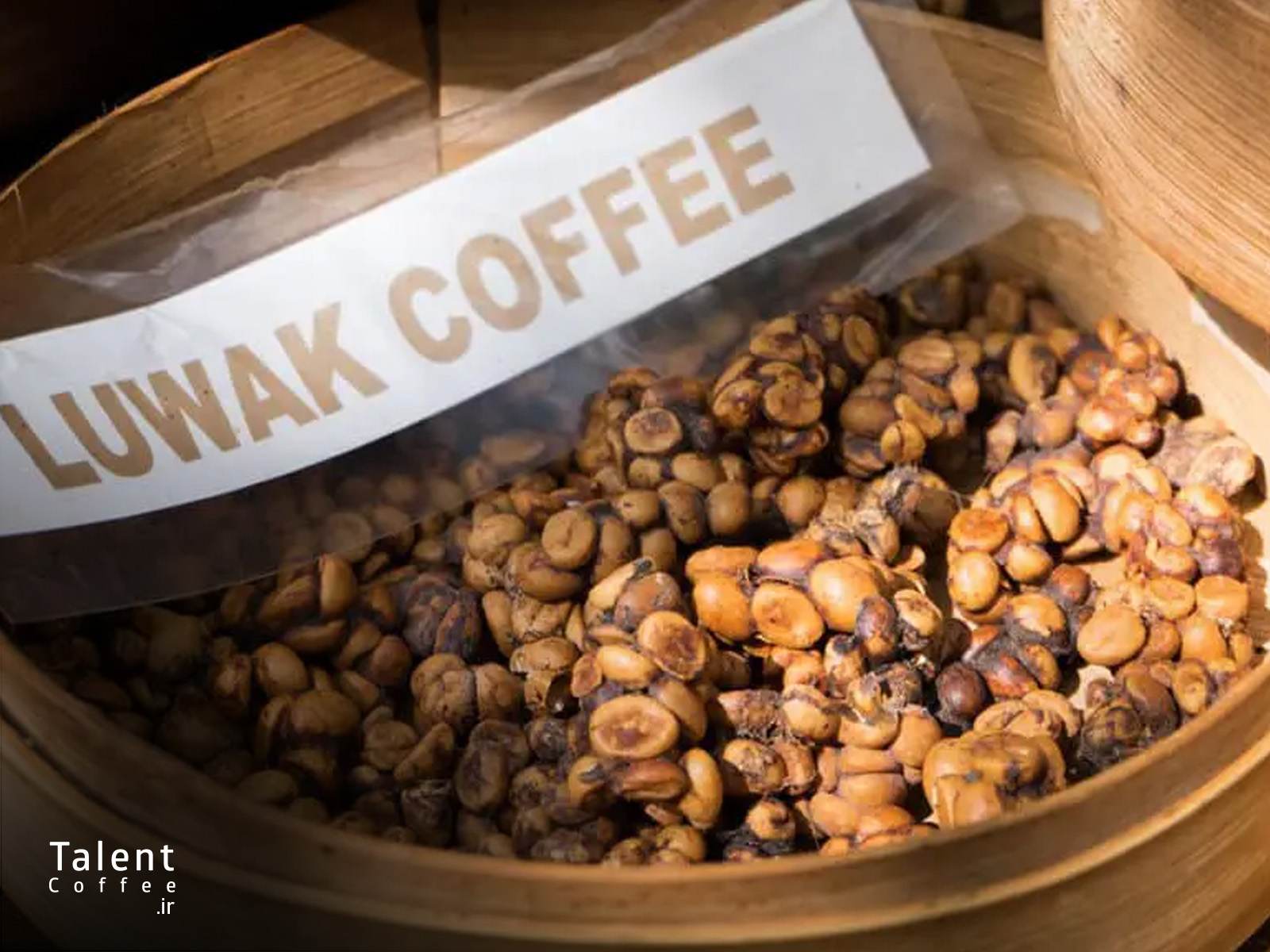 گران ترین قهوه دنیا