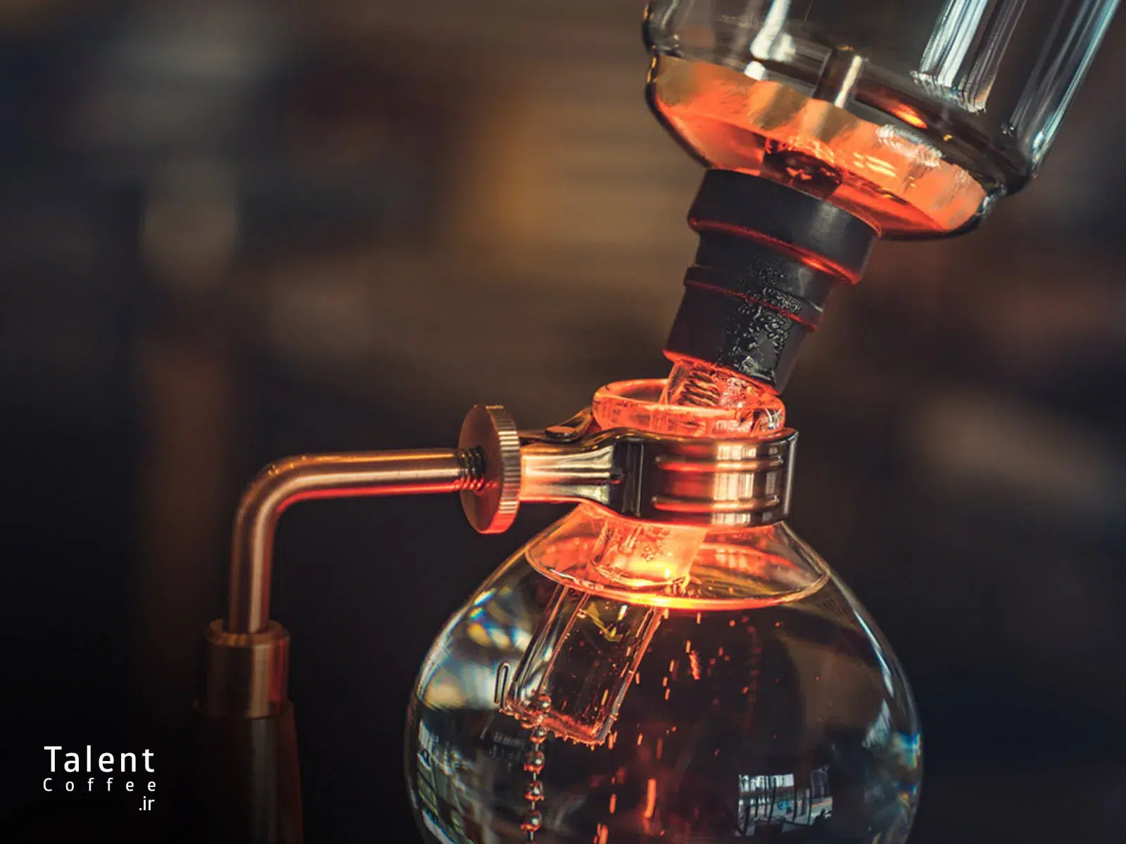 سایفون قهوه