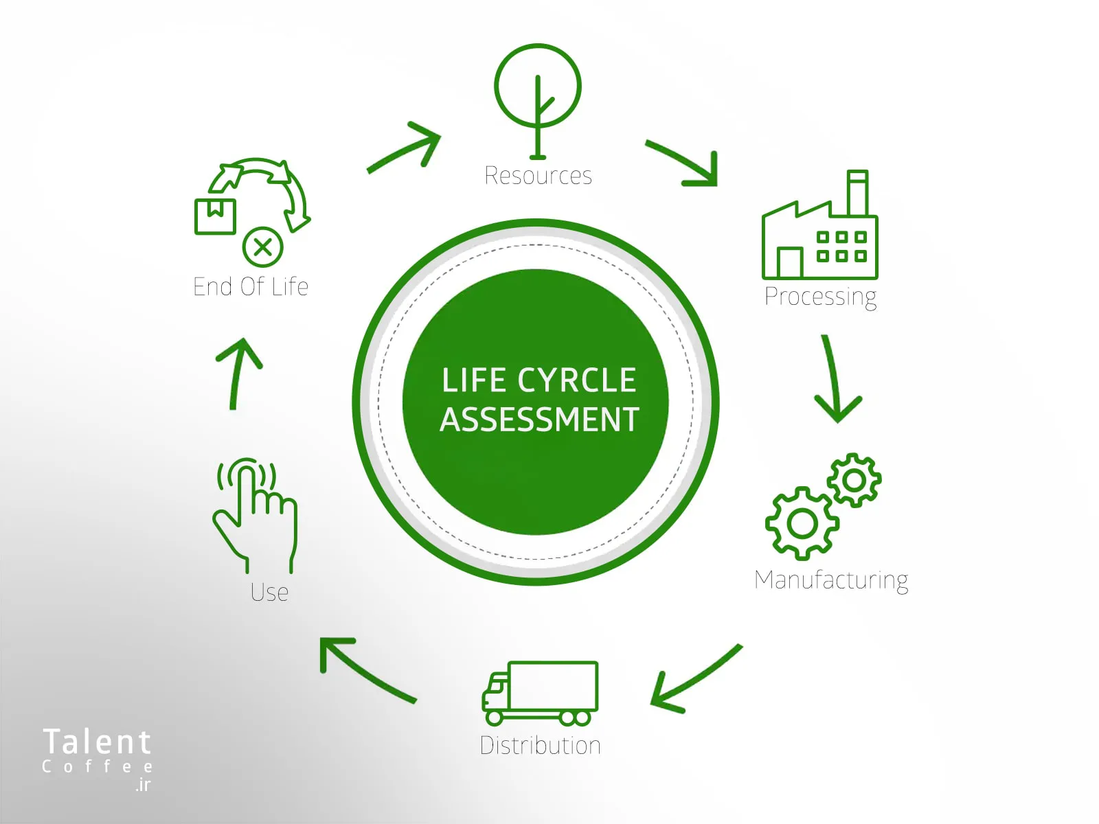 چرخه عمر دانه قهوه