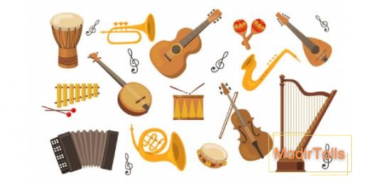 چطور بفهمیم به چه سازی علاقه داریم؟