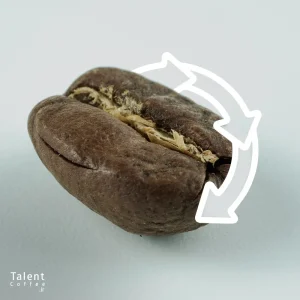 چرخه عمر دانه های قهوه