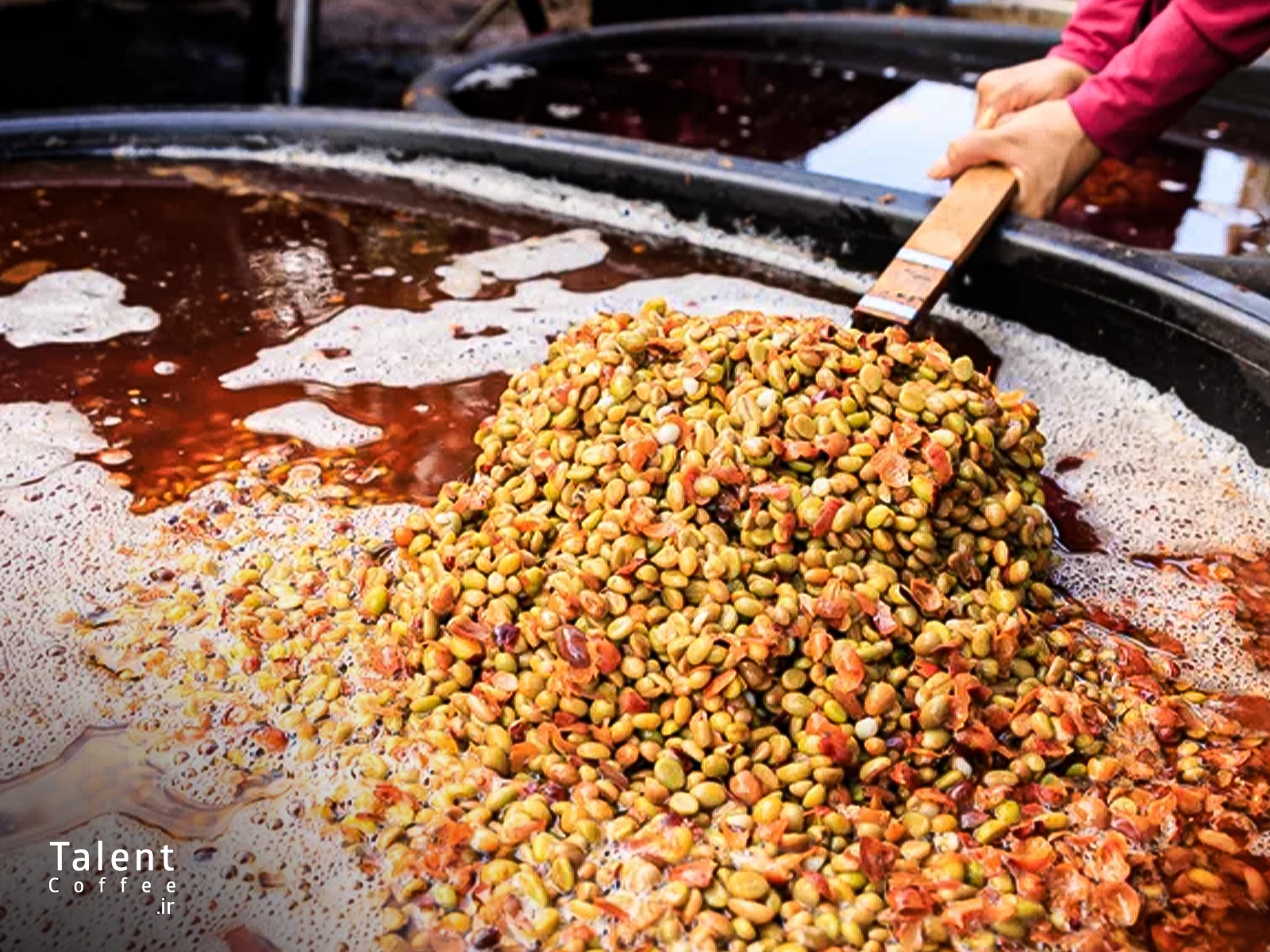 قهوه‌ اینفیوز شده