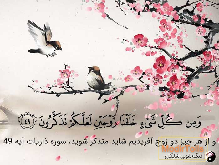 یین یانگ در اسلام و قرآن
