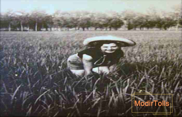 تاریخچه آهنگ بلا چاو