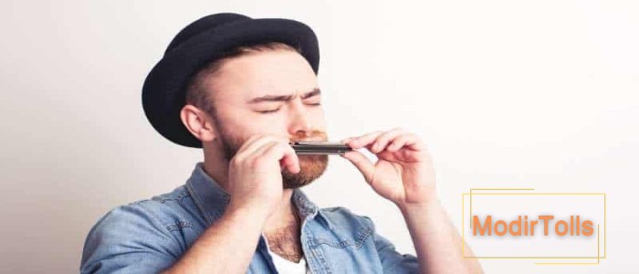 حقایق جالب درباره ساز دهنی