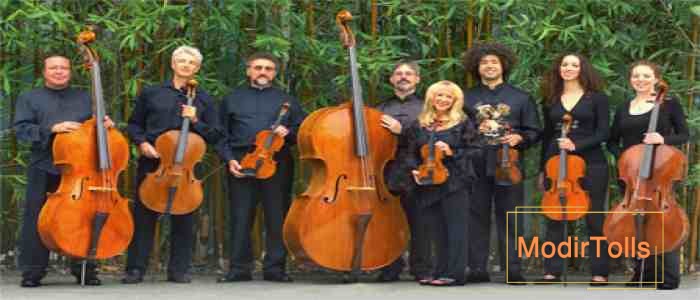 معرفی سازهای خانواده ویولن