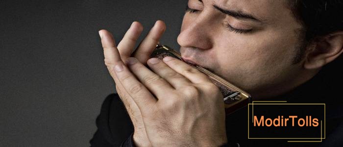 همه‌چیز درباره یادگیری ساز دهنی!