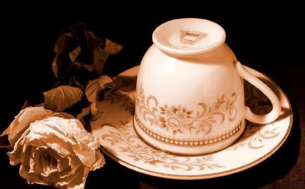 دم ماهی در فال قهوه