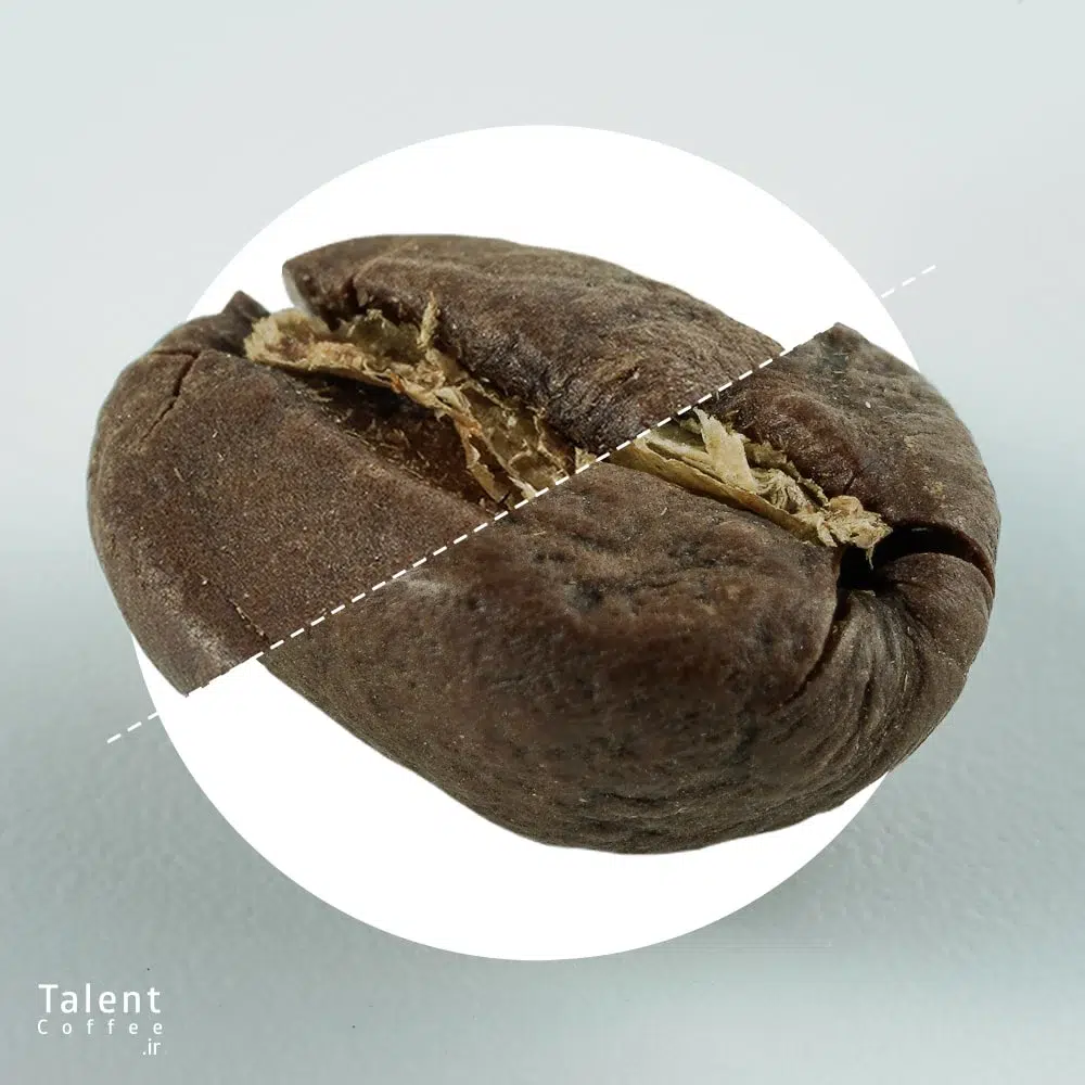 معرفی انواع قهوه و تفاوت طعم آنها | شناخت بهترین نوع قهوه