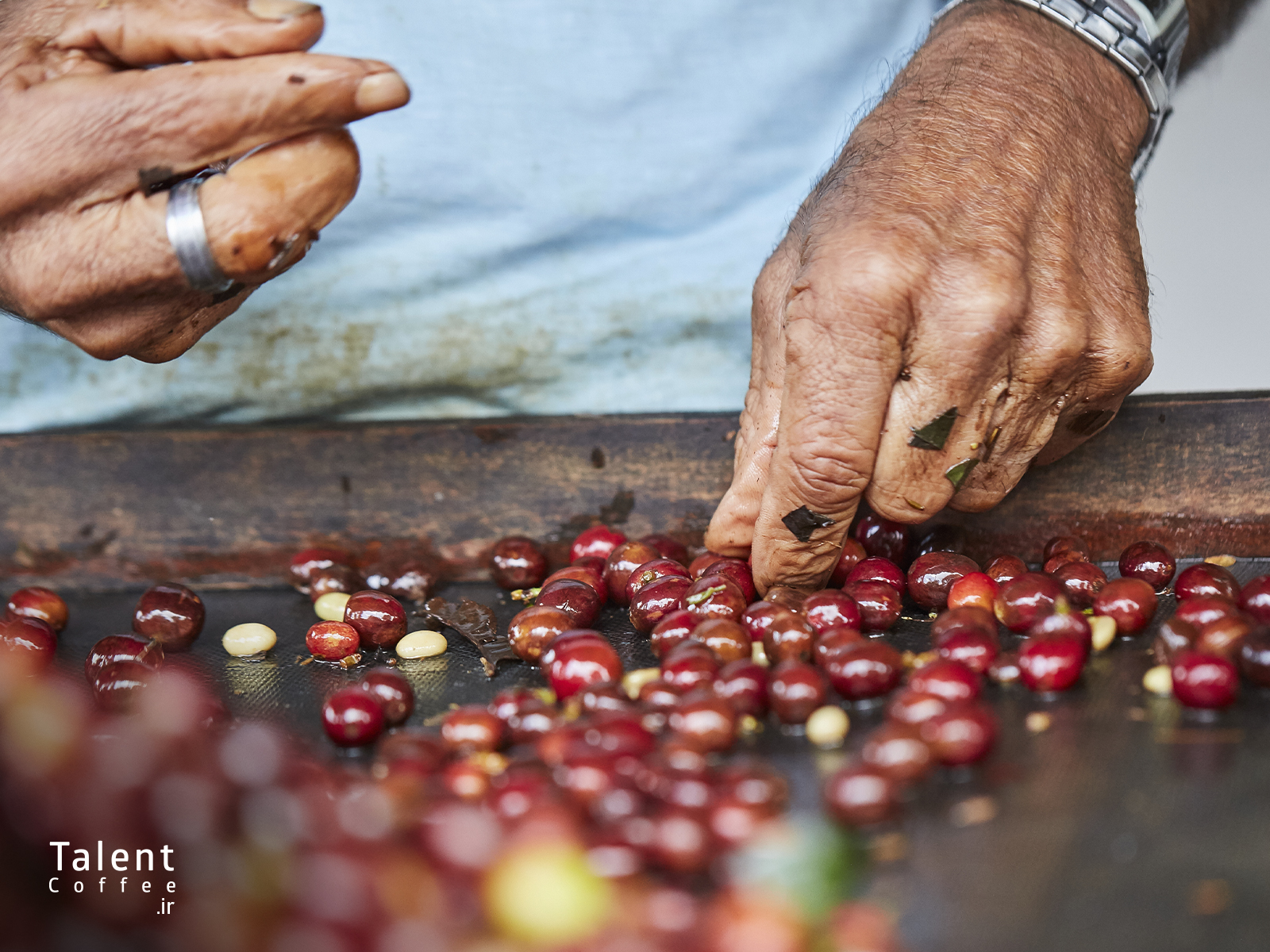 قهوه‌ اینفیوز شده