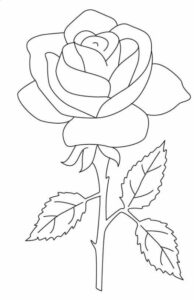 طرح گل رز قشنگ