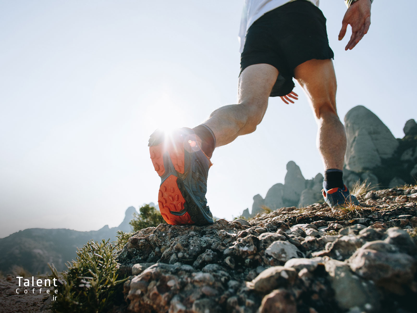 کافئین و بهبود عملکرد ورزشی