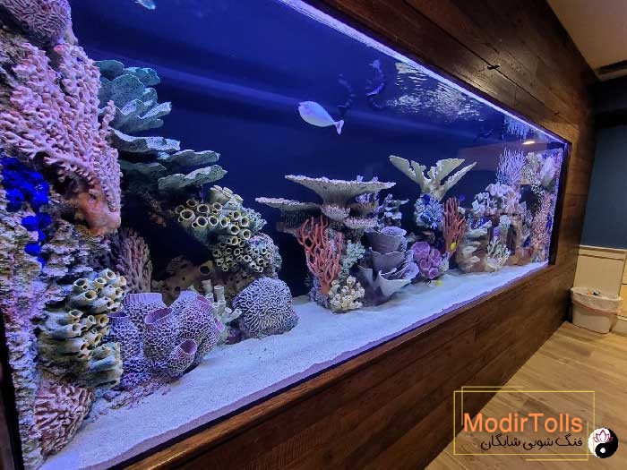 نماد ثروت در فنگ شویی آکواریم