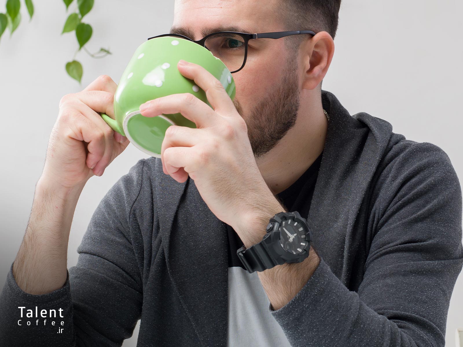 قهوه سبز چیست 