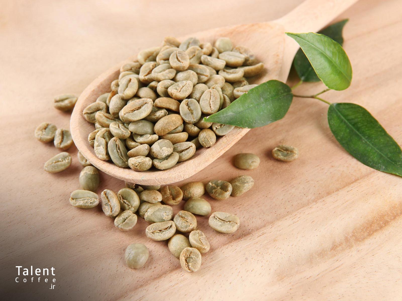 قهوه سبز چیست 