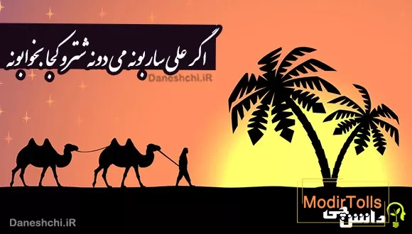 اگر علی ساربونه می دونه شترو کجا بخوابونه