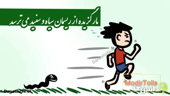 معانی ضرب المثل مار گزیده از ریسمان سیاه و سفید می‌ترسد