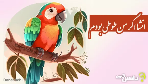 انشا ادبی اگر من طوطی بودم