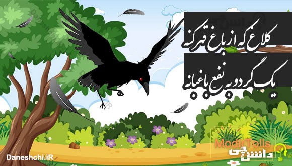 کلاغ که از باغ قهر کنه یک گردو به نفع باغبانه