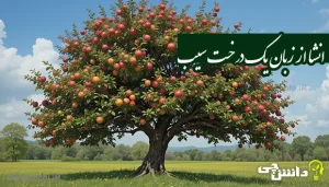 انشا از زبان یک درخت سیب