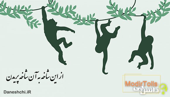 معنی از این شاخه به آن شاخه پریدن