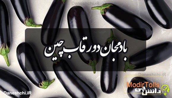 بادمجان دور قاب چین 