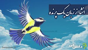 انشا ذهنی از زبان یک پرنده در حال پرواز