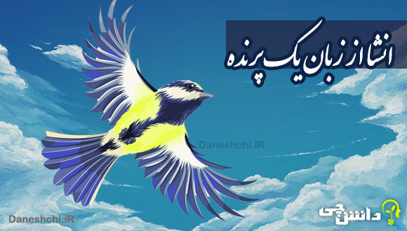 انشا ذهنی از زبان یک پرنده در حال پرواز