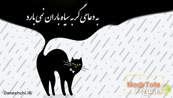 به دعای گربه سیاه باران نمی&zwnj;آید 