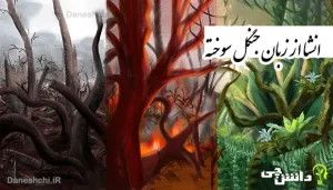 انشا از زبان جنگل سوخته