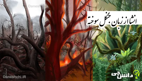 انشا از زبان جنگل سوخته