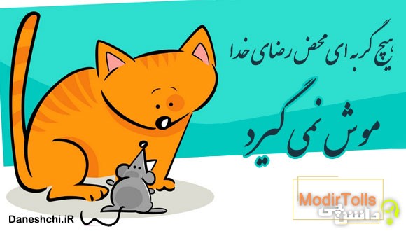 هیچ گربه ای محض رضای خدا موش نمی‌ گیرد