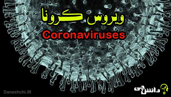 تحقیق در مورد بیماری کرونا | علائم، پیشگیری و درمان آن